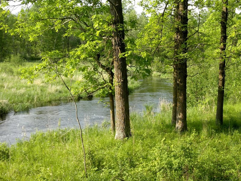10005 Rice Rd, Brook Park, MN 55007