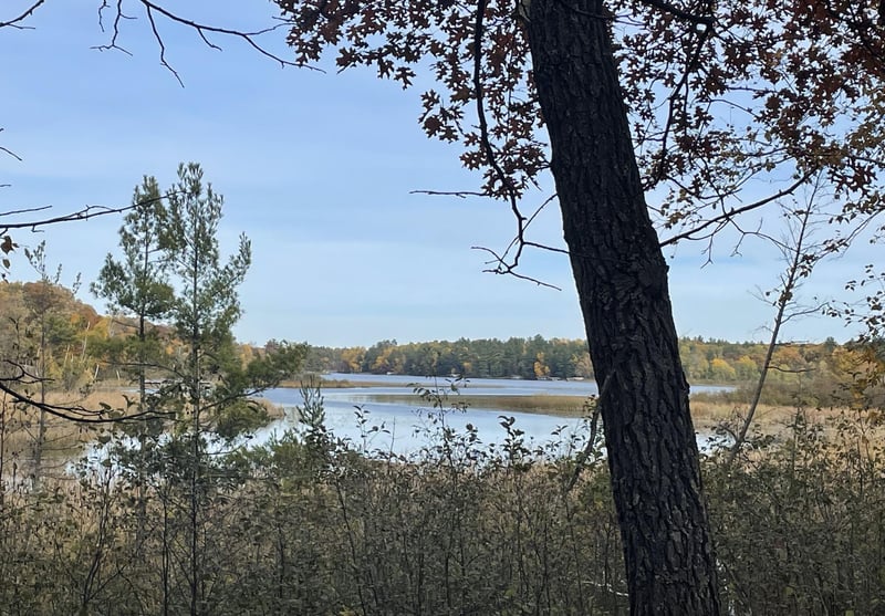 8038 Lost Lake Rd #220, Lake Shore, MN 56468
