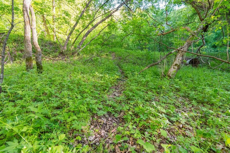 E3555 1120th Ave, Boyceville, WI 54725