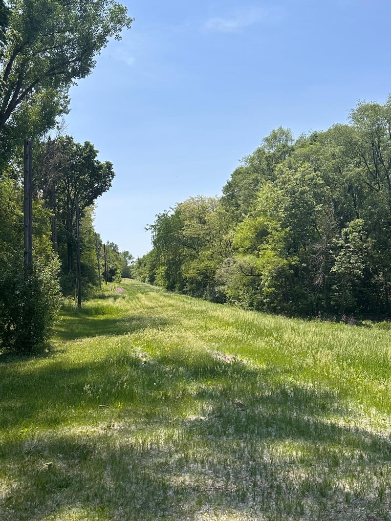 TBD Pullman Ave, Saint Paul Park, MN 55071