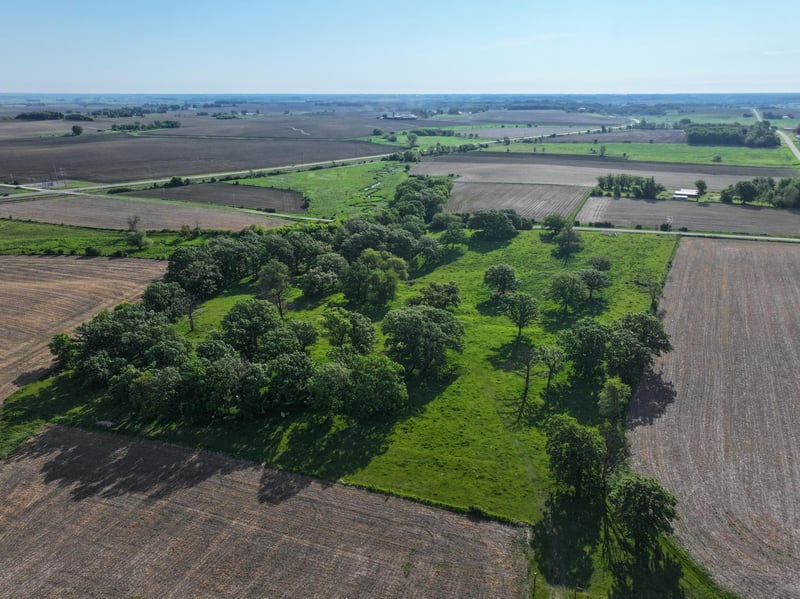 tbd 140th Ave SE, Eyota, MN 55934