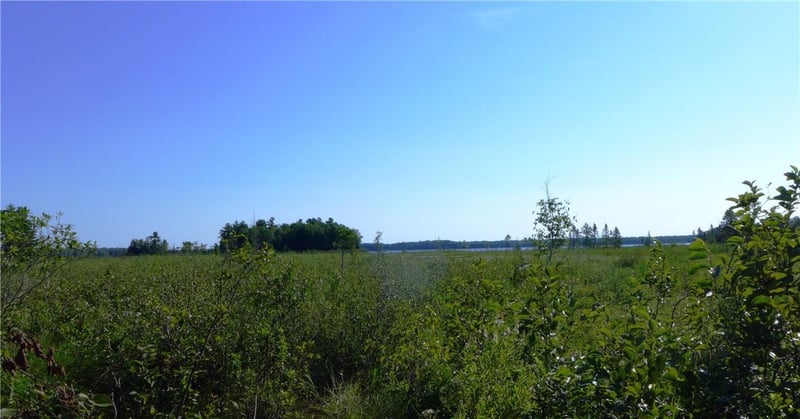 0 Brandt Rd, Hayward, WI 54843