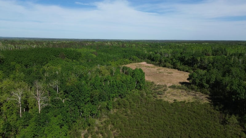 TBD County 4, Park Rapids, MN 56470