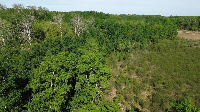 TBD County 4, Park Rapids, MN 56470