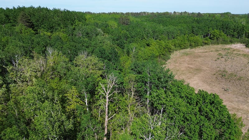 TBD County 4, Park Rapids, MN 56470