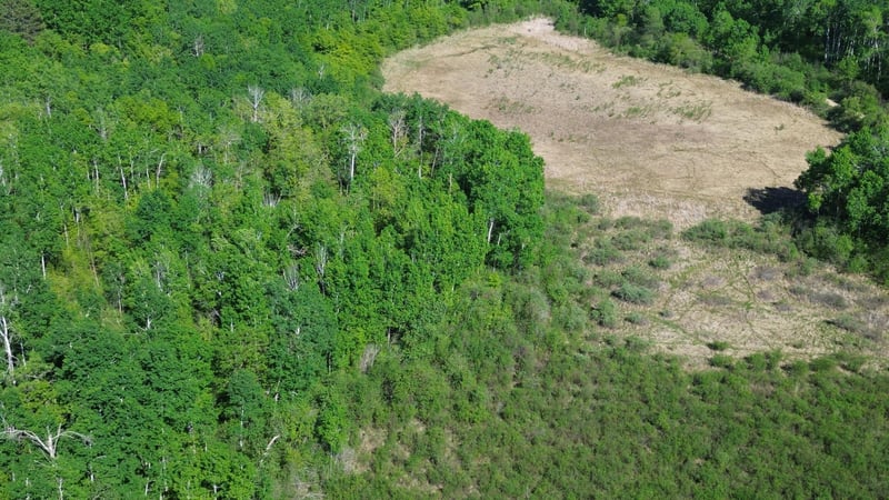 TBD County 4, Park Rapids, MN 56470