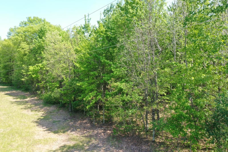 XXX Evergreen Ave, Saint Croix Falls, WI 54024