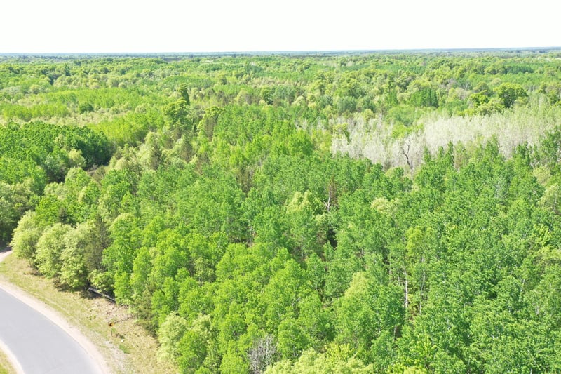 XXX Evergreen Ave, Saint Croix Falls, WI 54024