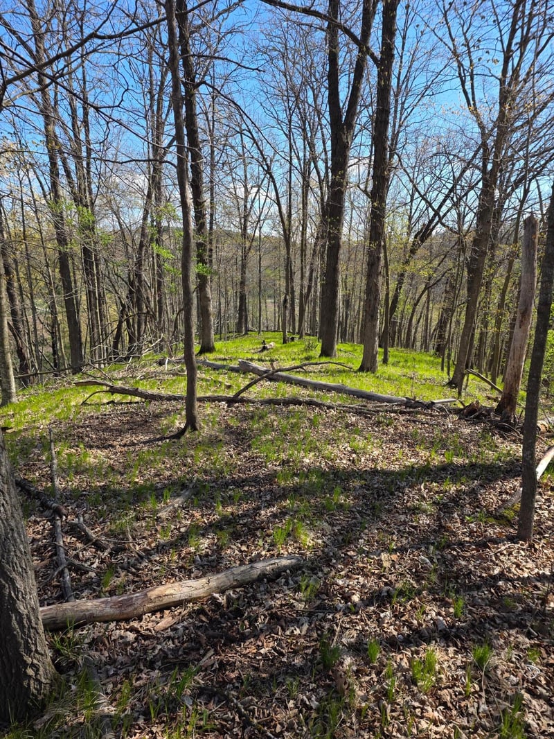 xxx Wagon Trail Rd, Spring Valley, WI 54767