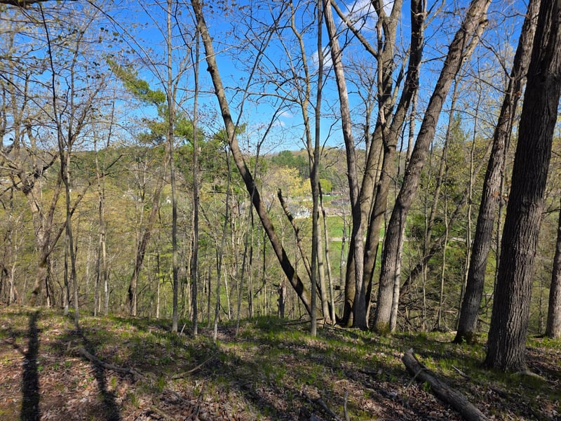 xxx Wagon Trail Rd, Spring Valley, WI 54767
