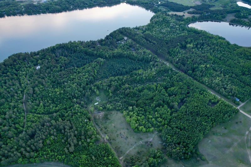 TBD - 24.4 AC County 4, Park Rapids, MN 56470