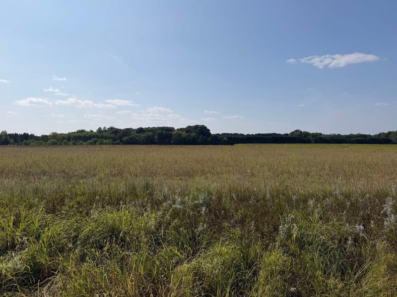 34660 Grand Ave, Stacy, MN 55079