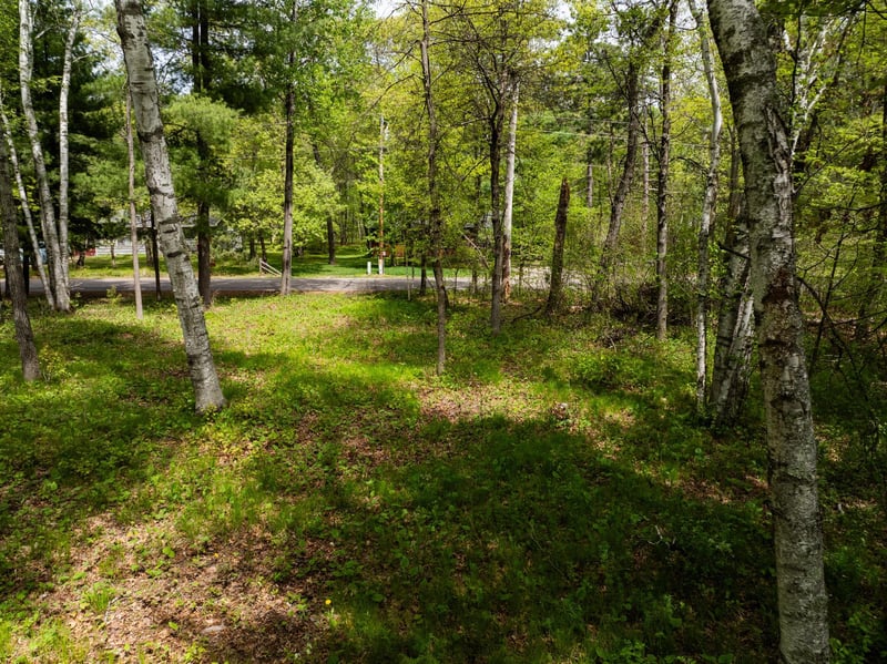 TBD Poplar Ave, Nisswa, MN 56468