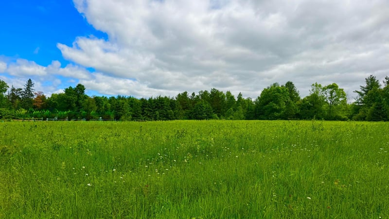 N3860 Kostka Rd, Ladysmith, WI 54848