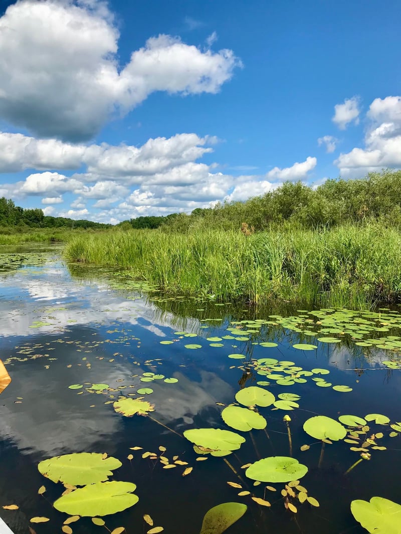 TBD Highway 65, Isle, MN 56342