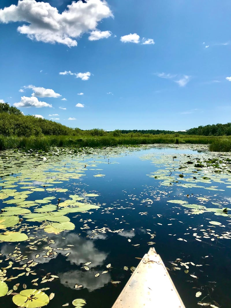 TBD Highway 65, Isle, MN 56342