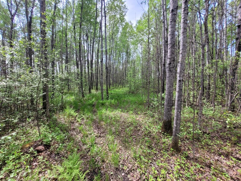 68401 County Road 547, Cook, MN 55723