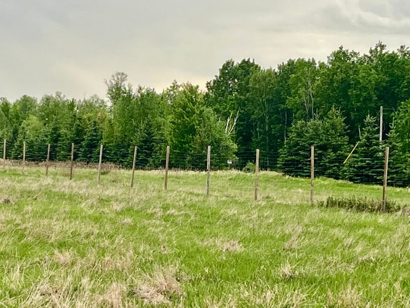 1234 Cr 51, Bovey, MN 55709