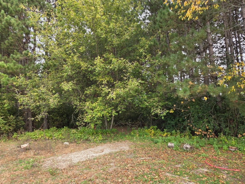 10095 367th St, North Branch, MN 55056