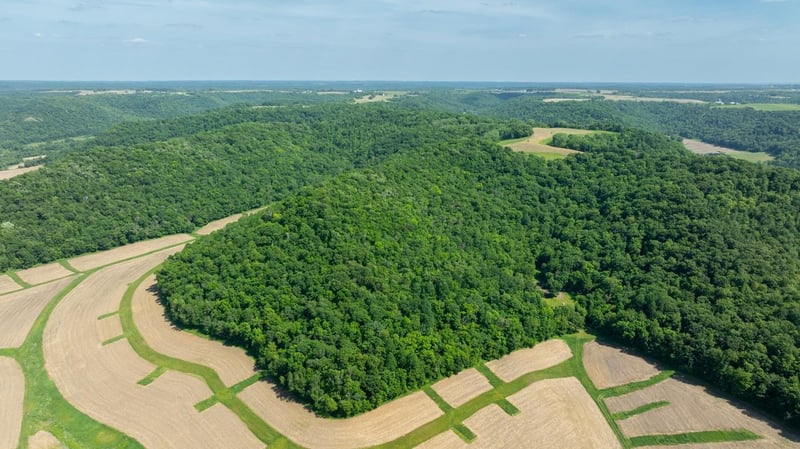 0 Tell Lake Rd, Alma, WI 54610