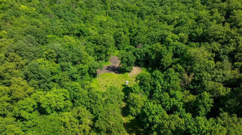 0 Tell Lake Rd, Alma, WI 54610