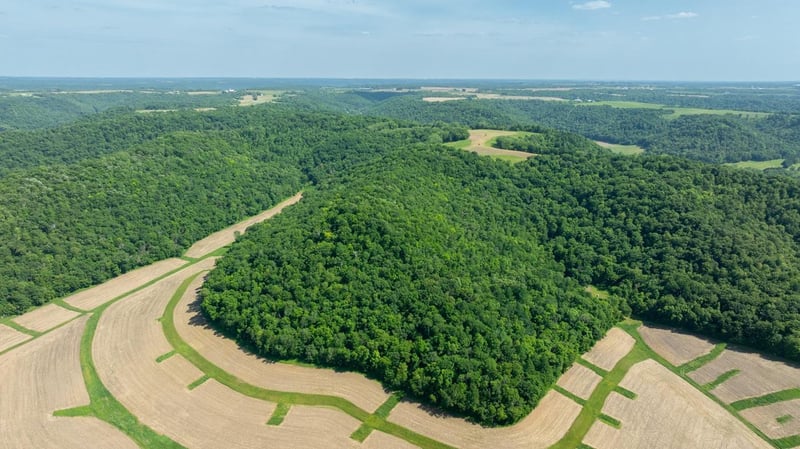 0 Tell Lake Rd, Alma, WI 54610