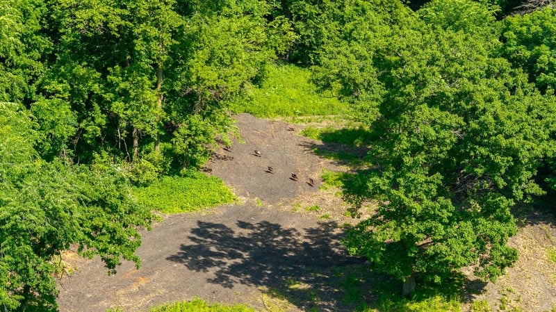 0 Tell Lake Rd, Alma, WI 54610