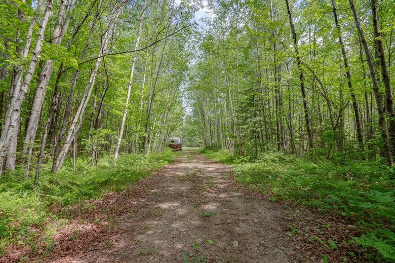 68990 Great River Rd, Jacobson, MN 55752