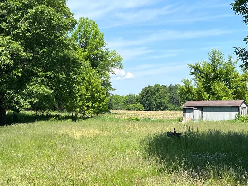 36 11 1/2 Ave, Turtle Lake, WI 54889