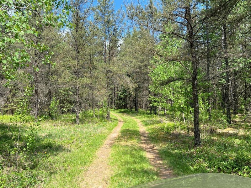 TBD County 109, Menahga, MN 56464
