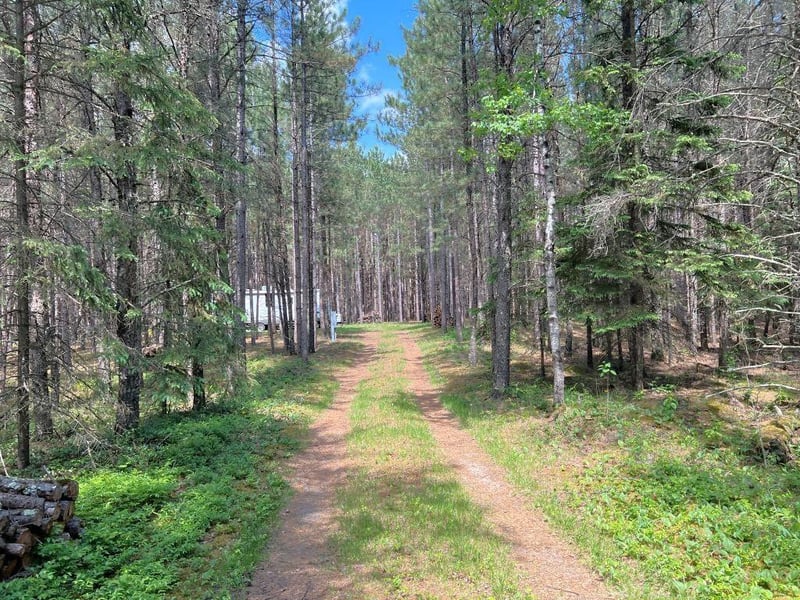 TBD County 109, Menahga, MN 56464