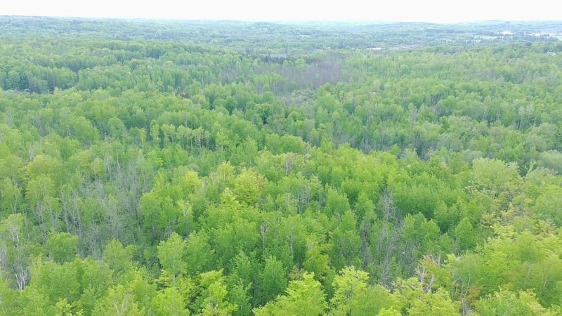 TBD Katherine, Duluth, MN 55803