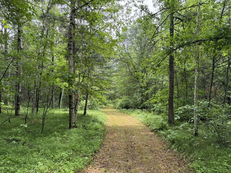 TBD County Road 13, Nisswa, MN 56468