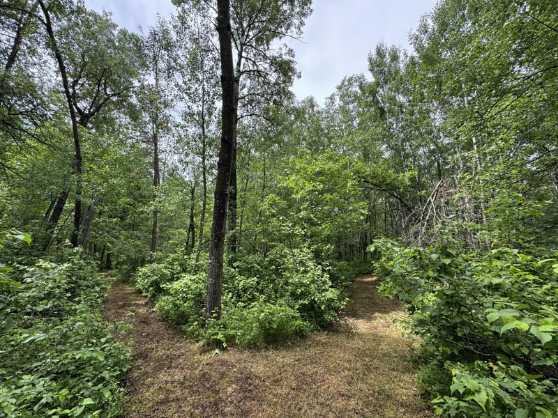 TBD County Road 13, Nisswa, MN 56468