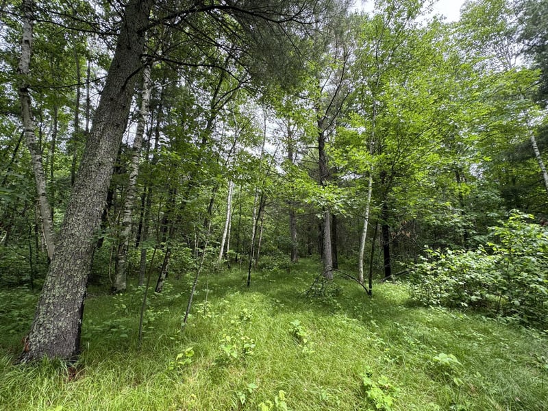 TBD County Road 13, Nisswa, MN 56468