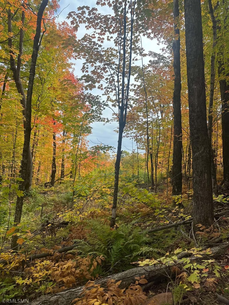 5030 Mount Rockwood Rd, Silver Bay, MN 55614