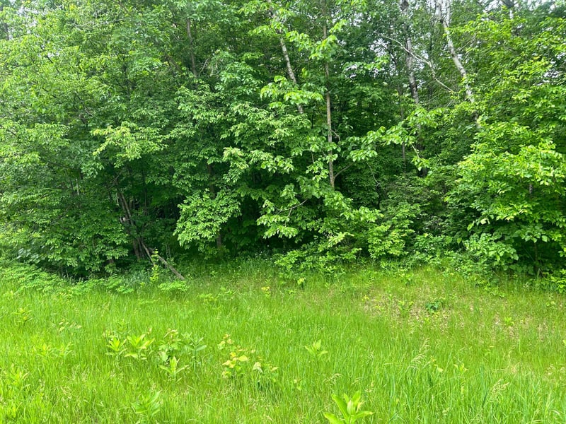 TBD County Rd 16, Cushing, MN 56443