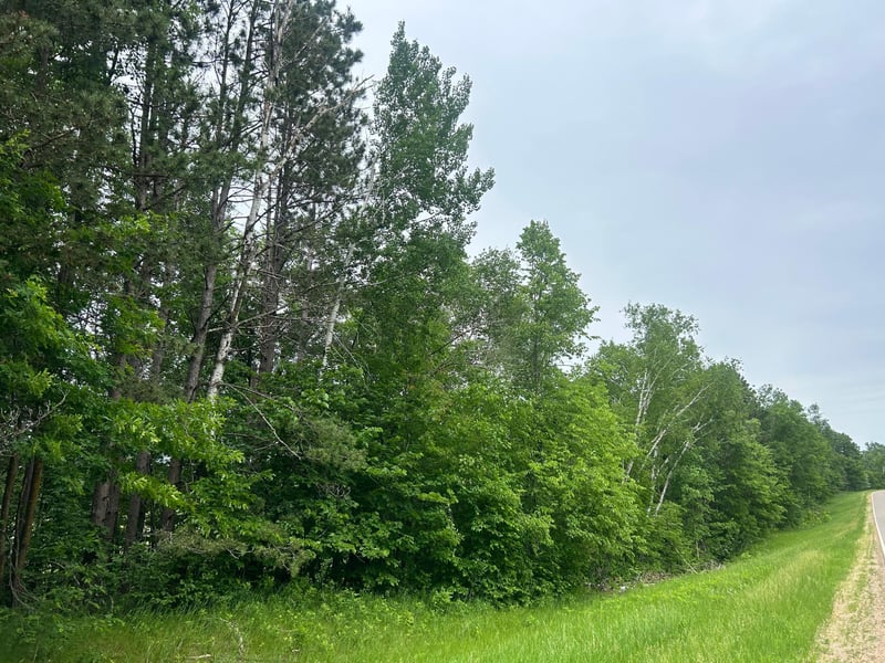 TBD County Rd 16, Cushing, MN 56443