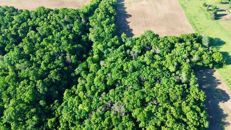Lot 2 160th Ave, Maiden Rock, WI 54750