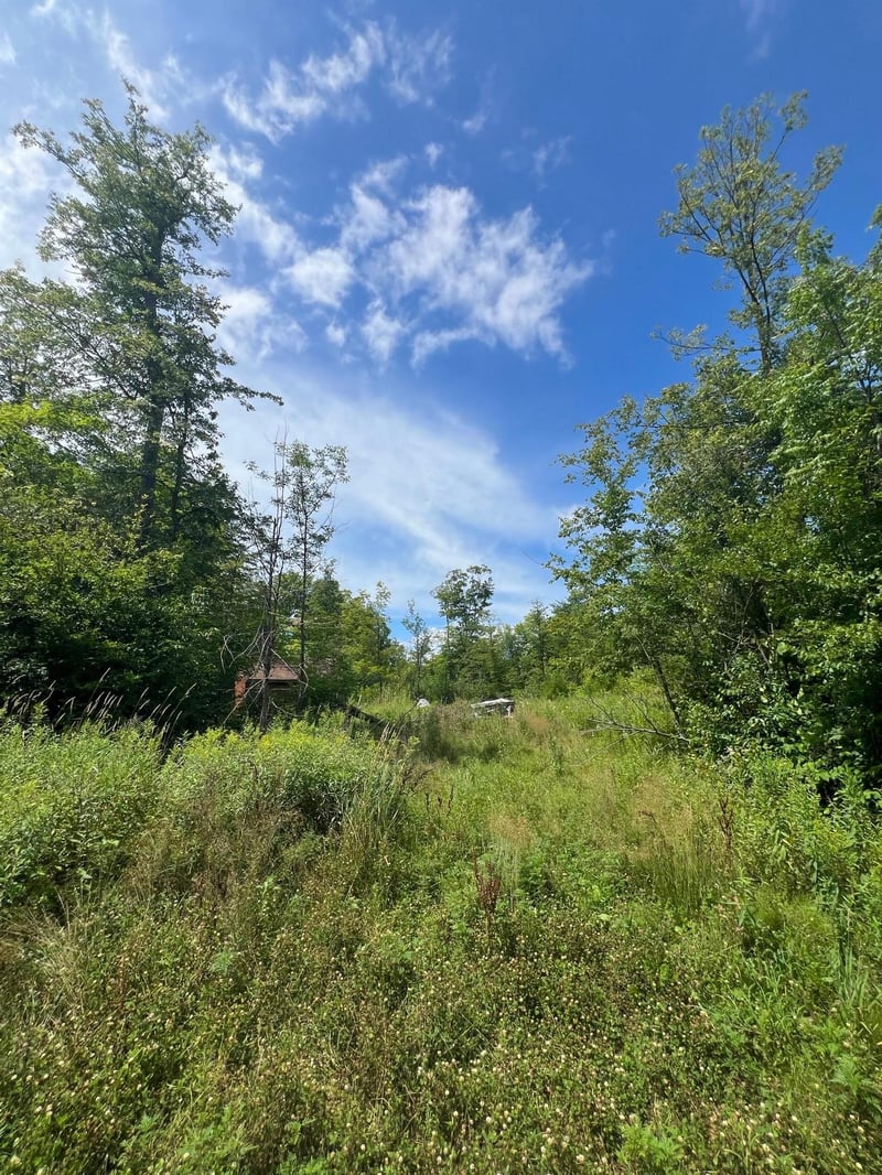 32530 186th St, Isle, MN 56342