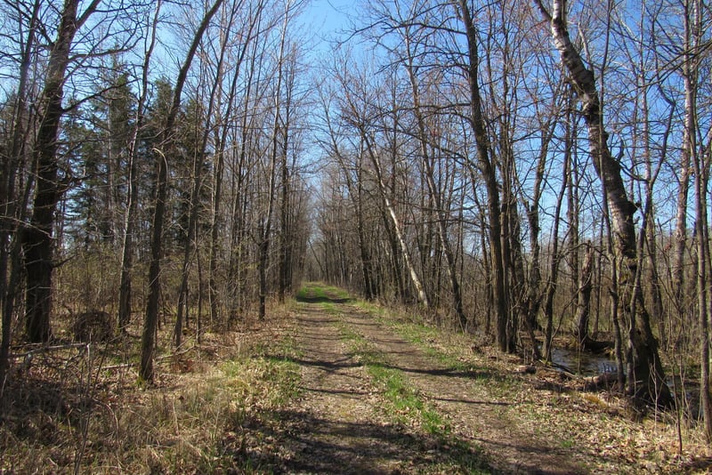 TBD-1 County Road 41, Willow River, MN 55795
