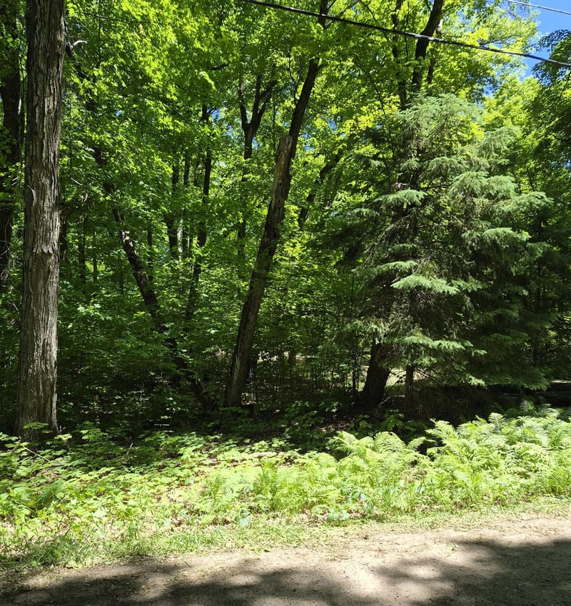 TBD Lot 309 197th Ave, Mcgregor, MN 55760