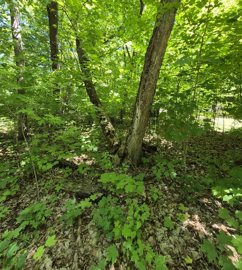 TBD Lot 309 197th Ave, Mcgregor, MN 55760