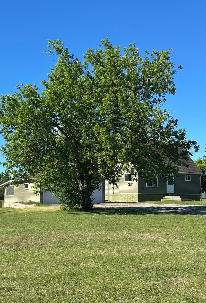 4791 Town Road 180, Kabetogama, MN 56669