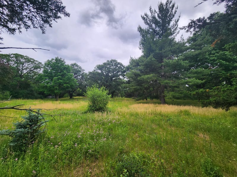 xxx Pearl St, Prescott, WI 54021