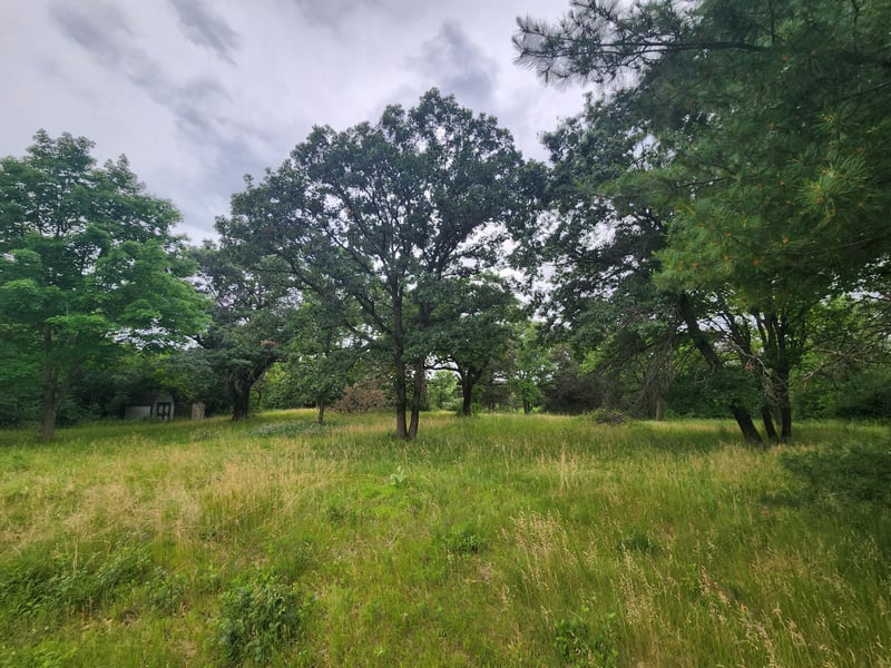 xxx Pearl St, Prescott, WI 54021