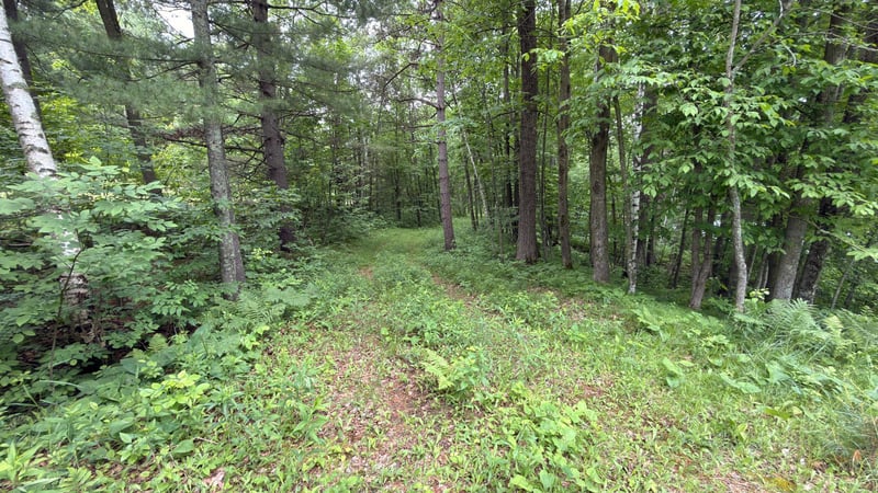 765 270th Cty Rd O, Frederic, WI 54837