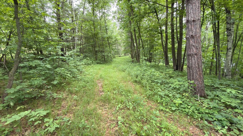 765 270th Cty Rd O, Frederic, WI 54837