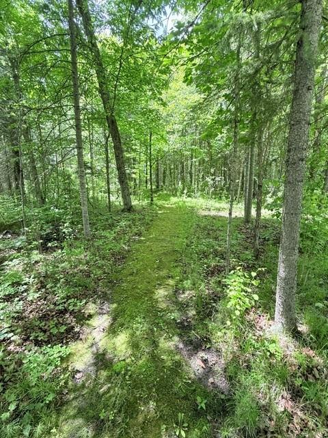 24353 Hines Rd NE, Hines, MN 56647
