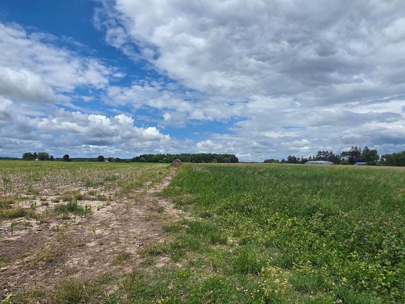 2116 8th St, Cumberland, WI 54829